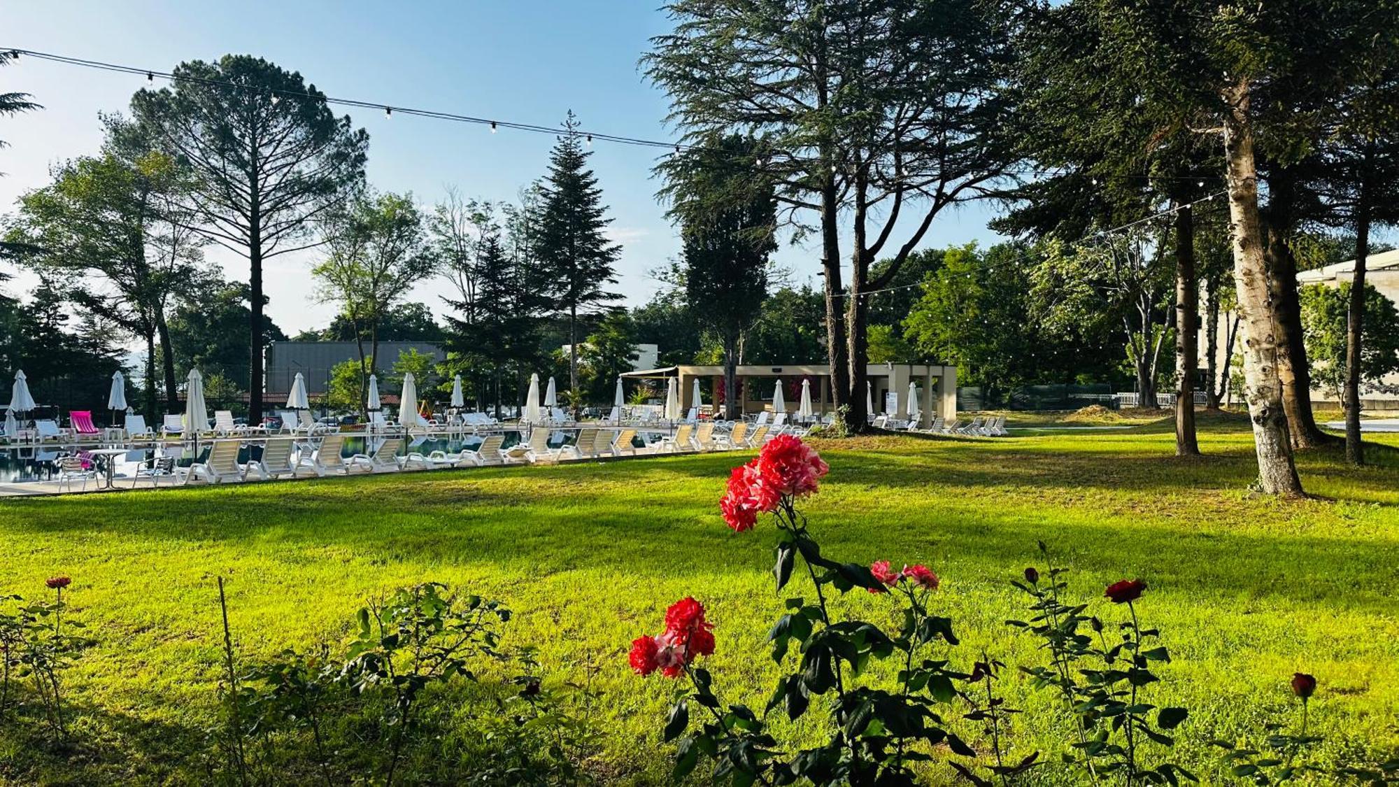 Queen Nelly Park คีตาน ภายนอก รูปภาพ