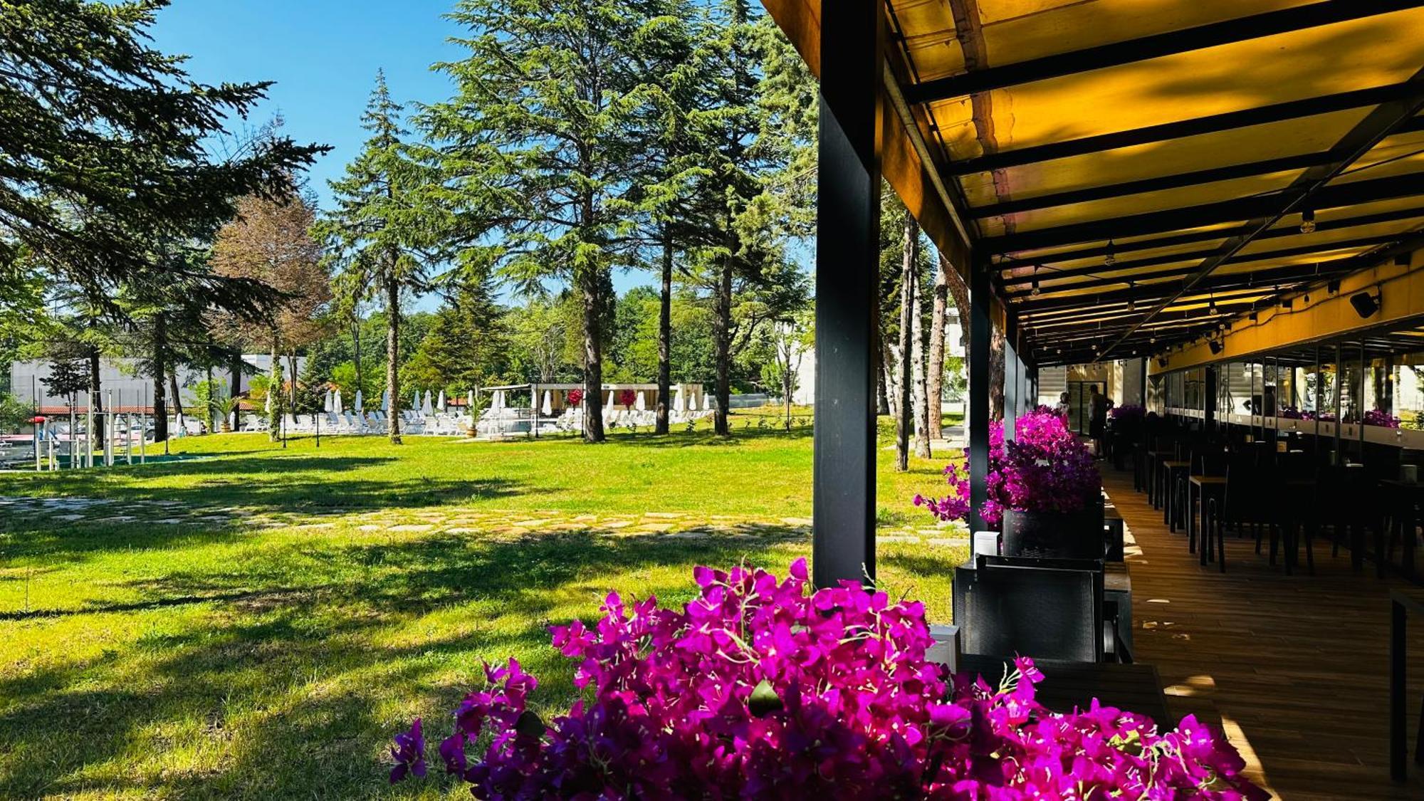 Queen Nelly Park คีตาน ภายนอก รูปภาพ